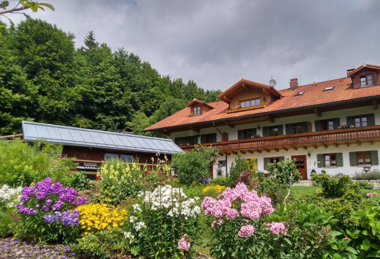 Haus Jägerfleck, Ihre Ferienwohnungen am Nationalpark Bayerischer Wald Spiegelau Exterior foto